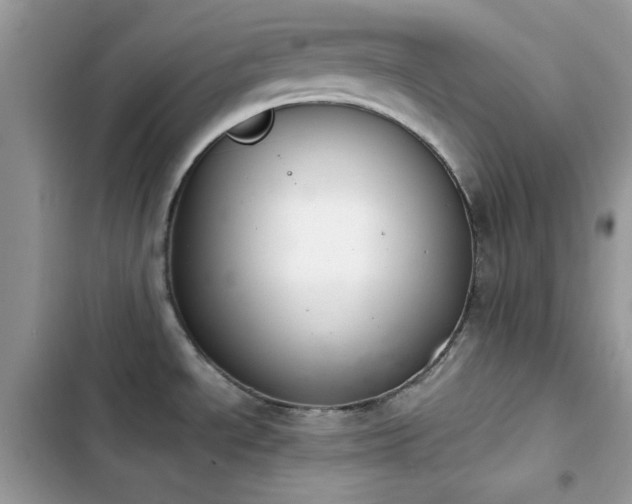 X0000103961534200809191459