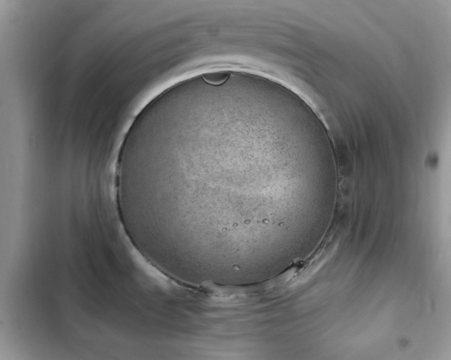 X0000103961535200809191459
