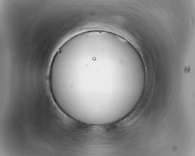 X0000103961536200809191459