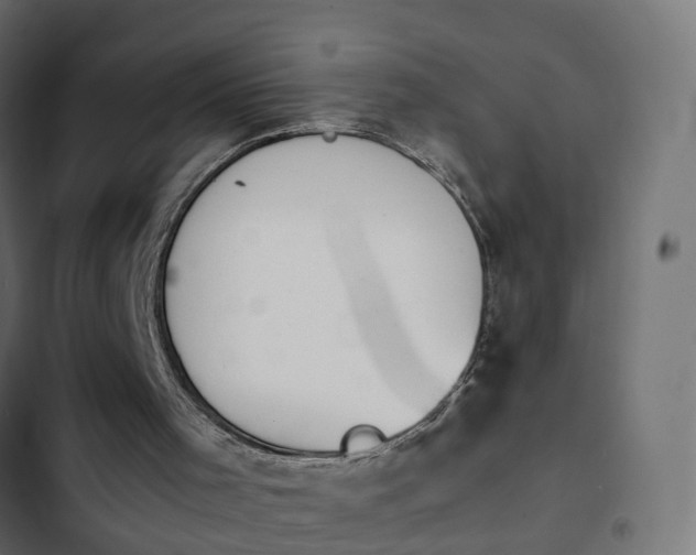 X0000103960001200809261822