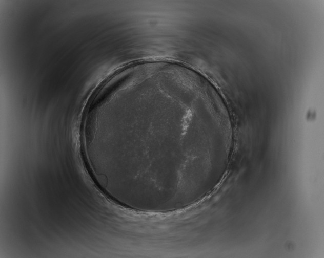 X0000103960002200809261822