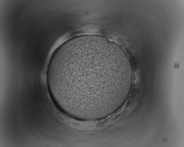 X0000103960004200809261822