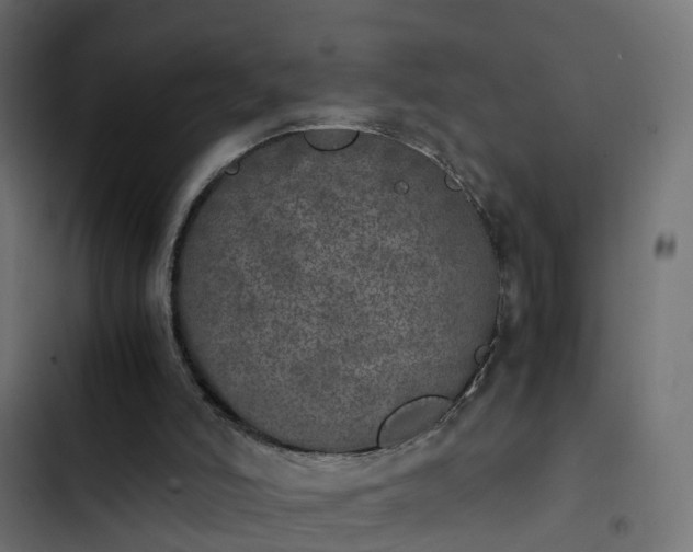 X0000103960006200809261822