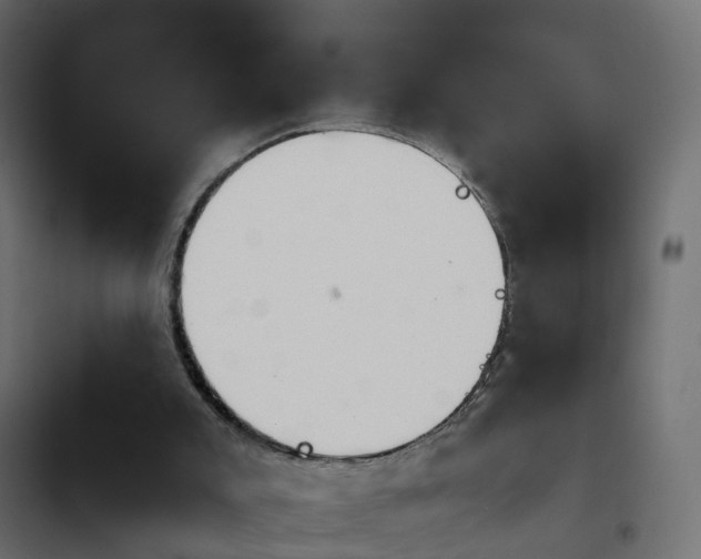 X0000103960007200809261822
