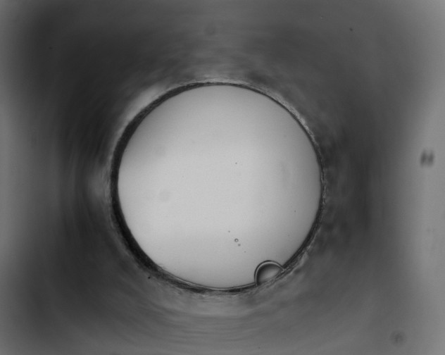 X0000103960008200809261822