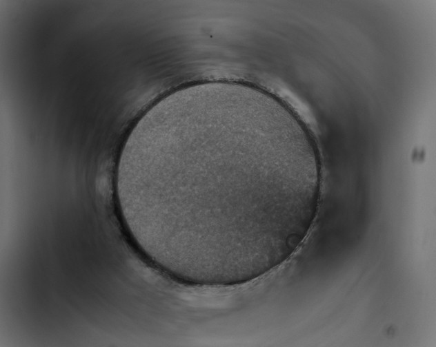 X0000103960009200809261822