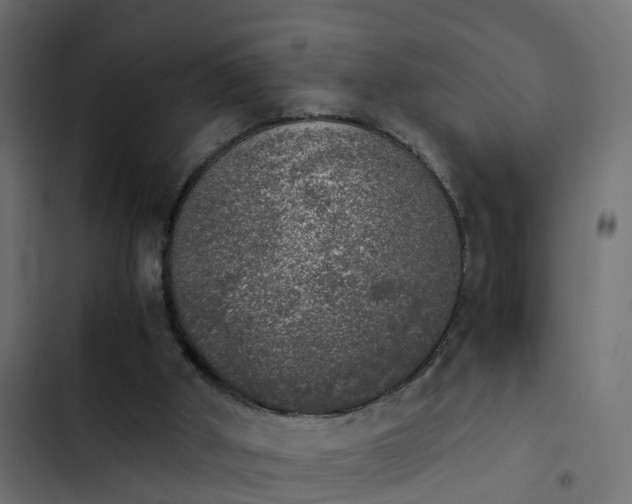 X0000103960010200809261822