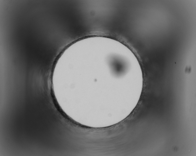 X0000103960011200809261822