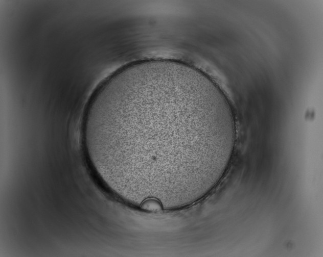 X0000103960012200809261822