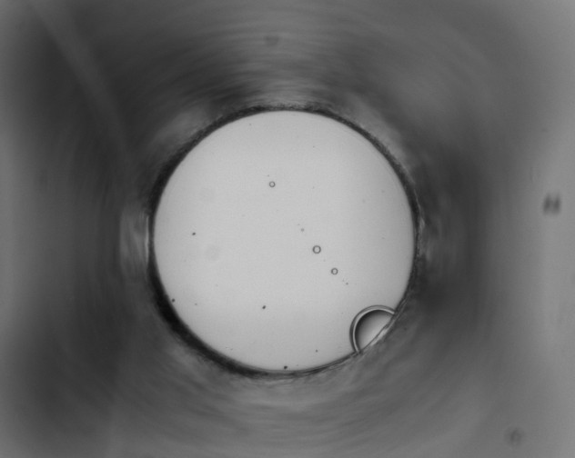 X0000103960013200809261822