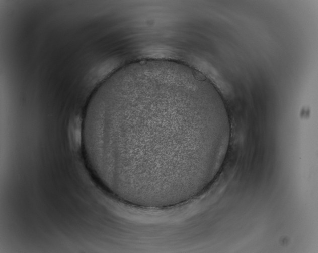 X0000103960014200809261822