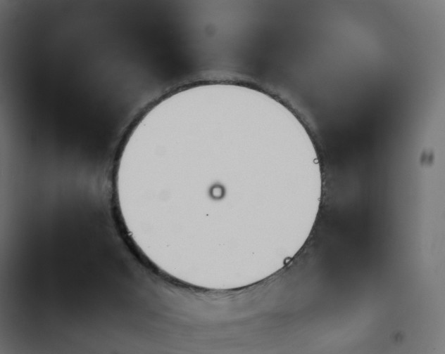 X0000103960015200809261822