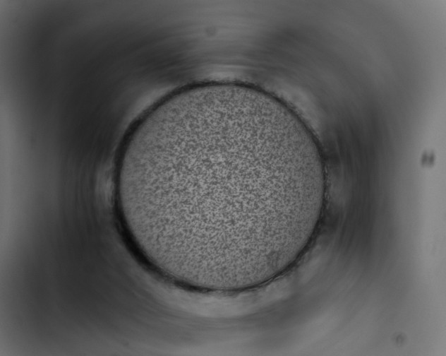 X0000103960016200809261821