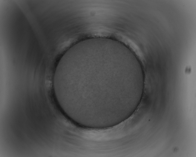 X0000103960017200809261821