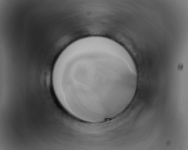 X0000103960019200809261821
