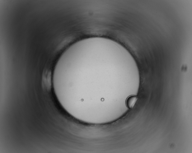 X0000103960020200809261821