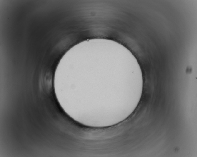 X0000103960021200809261821
