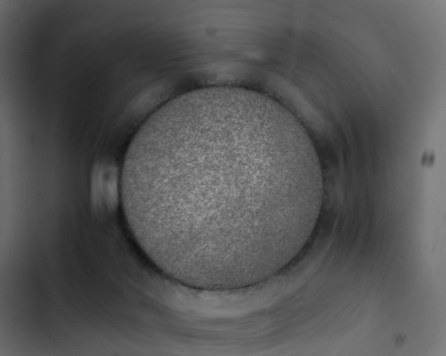 X0000103960022200809261821