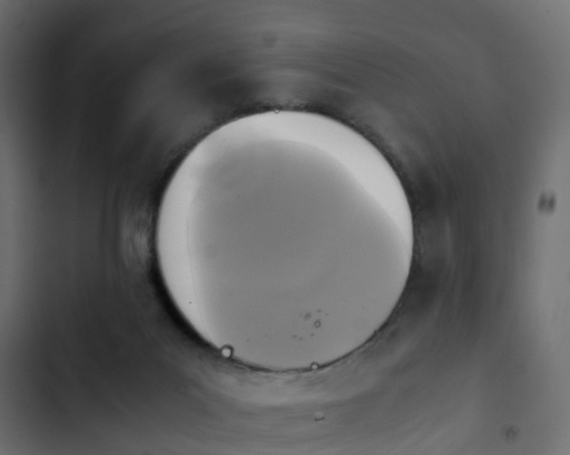 X0000103960023200809261821