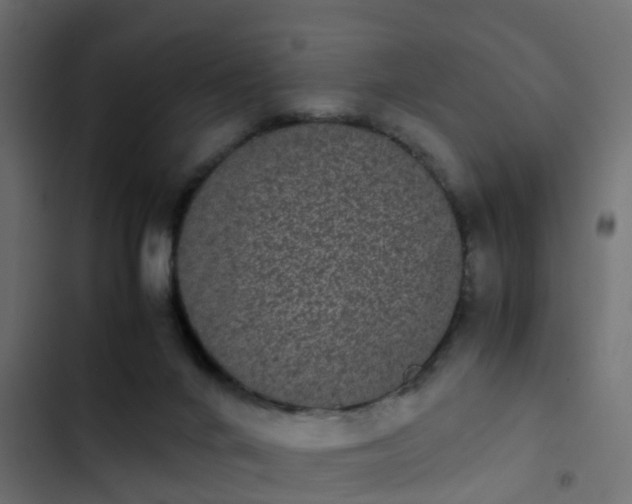 X0000103960024200809261821