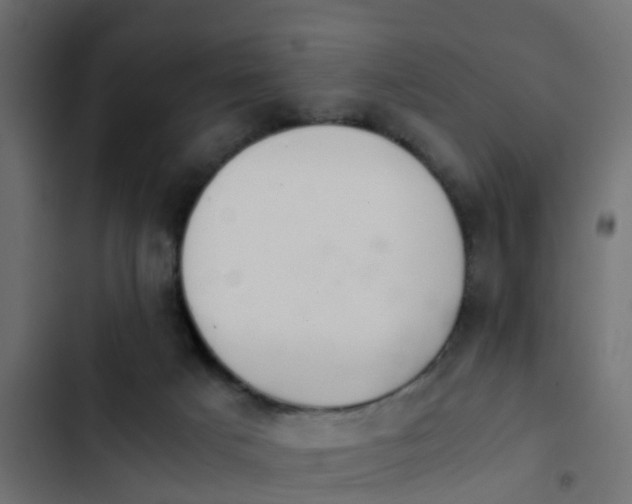 X0000103960025200809261821