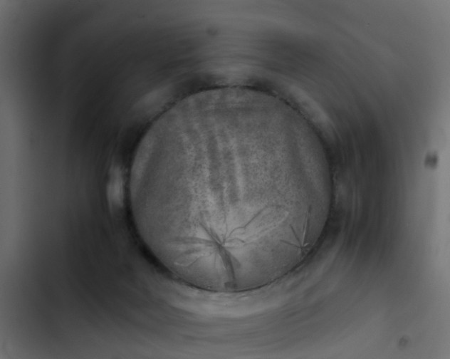 X0000103960026200809261821