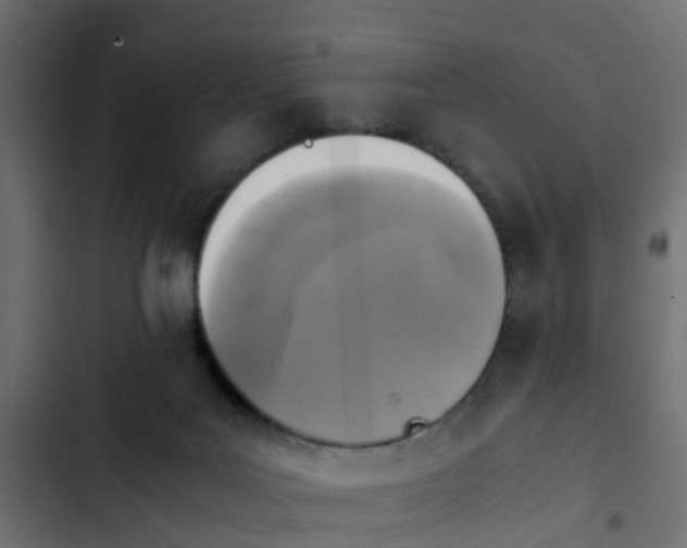 X0000103960027200809261821