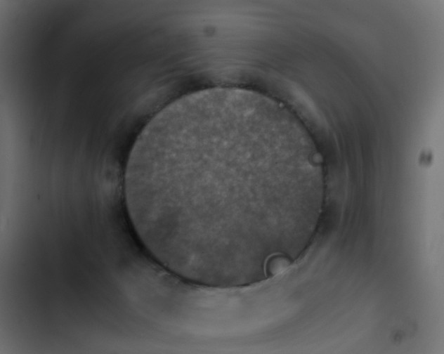 X0000103960029200809261821