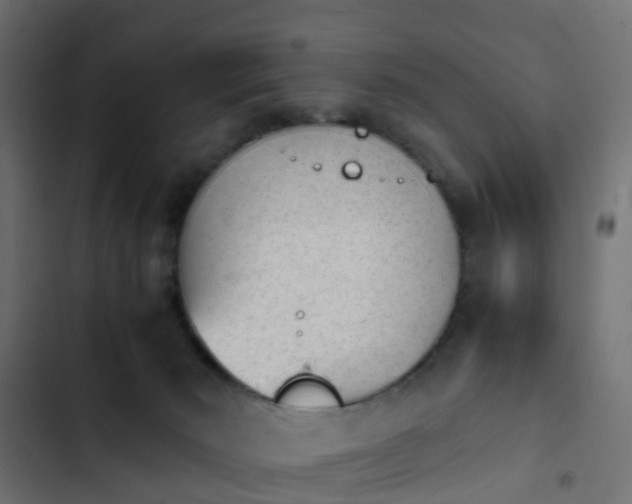 X0000103960030200809261821
