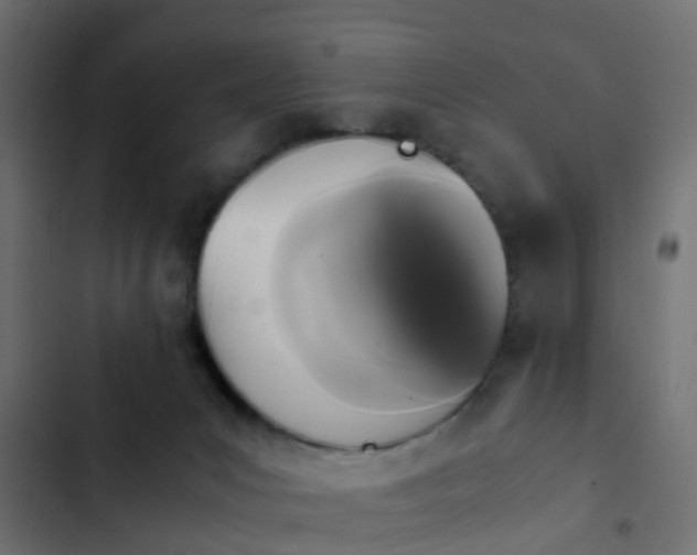 X0000103960031200809261821