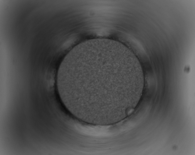 X0000103960032200809261821