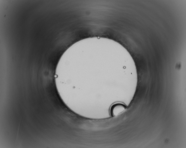 X0000103960033200809261821