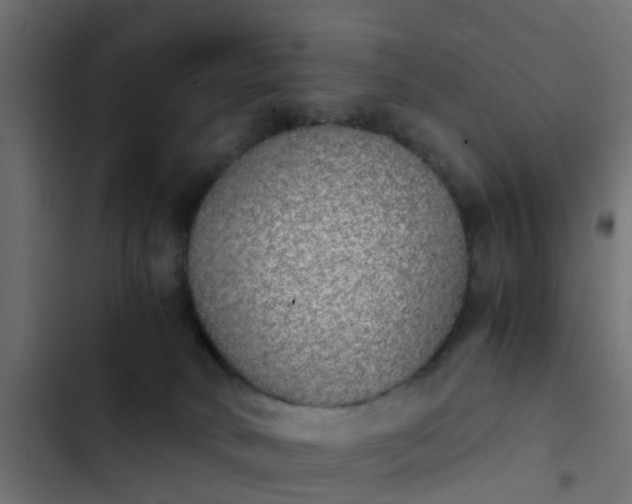X0000103960034200809261821