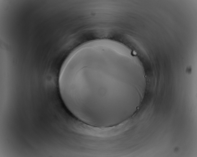 X0000103960035200809261821
