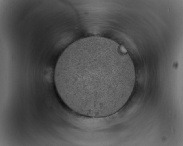 X0000103960036200809261821