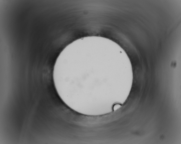 X0000103960037200809261821