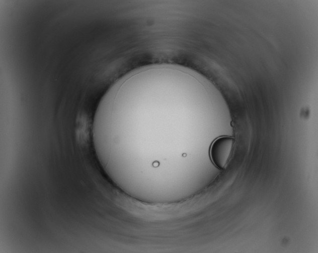 X0000103960038200809261821