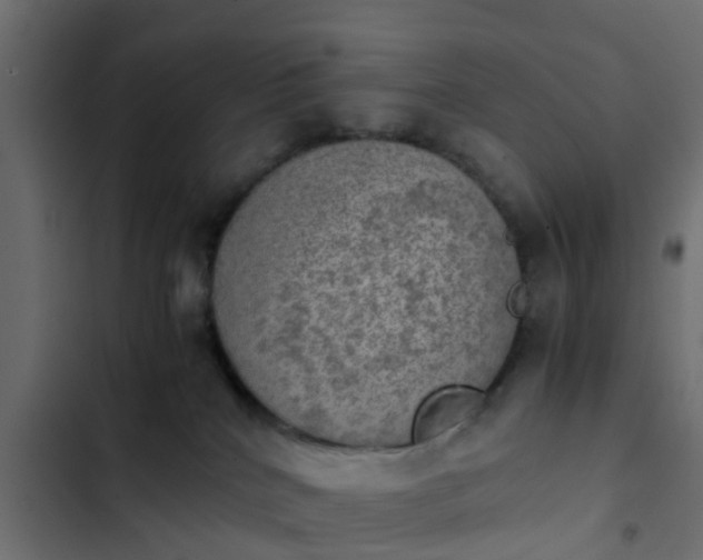 X0000103960040200809261821