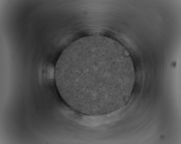 X0000103960041200809261821