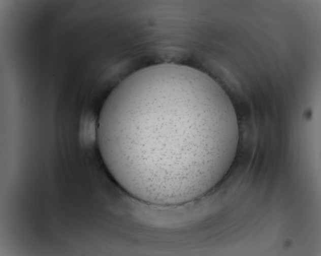 X0000103960042200809261821