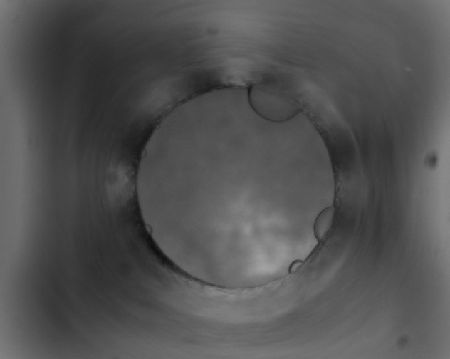 X0000103960043200809261821
