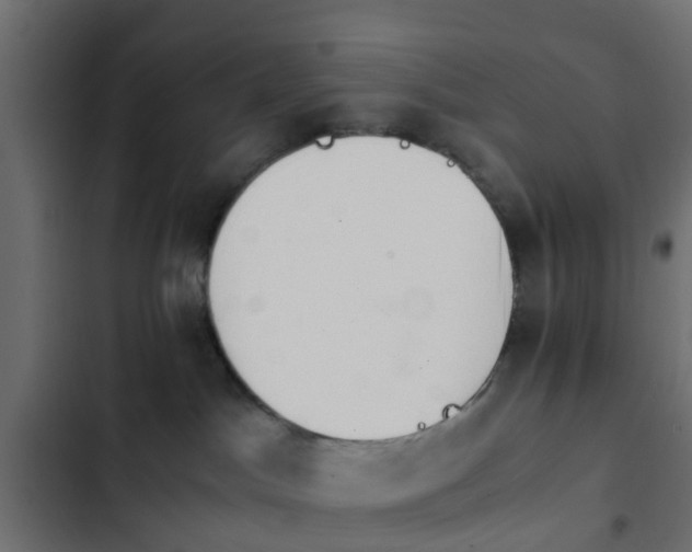 X0000103960045200809261821