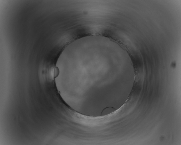 X0000103960047200809261821