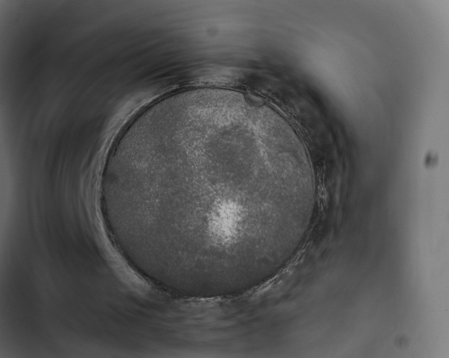 X0000103960049200809261820