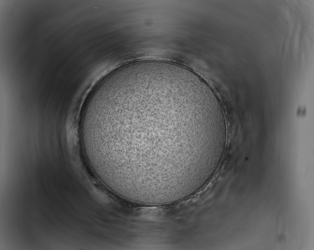 X0000103960050200809261820