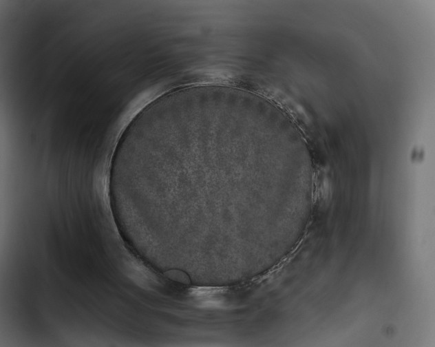 X0000103960051200809261820