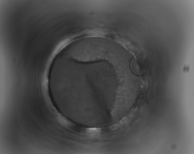 X0000103960053200809261820