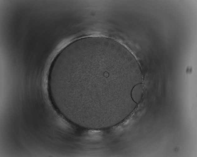 X0000103960055200809261820