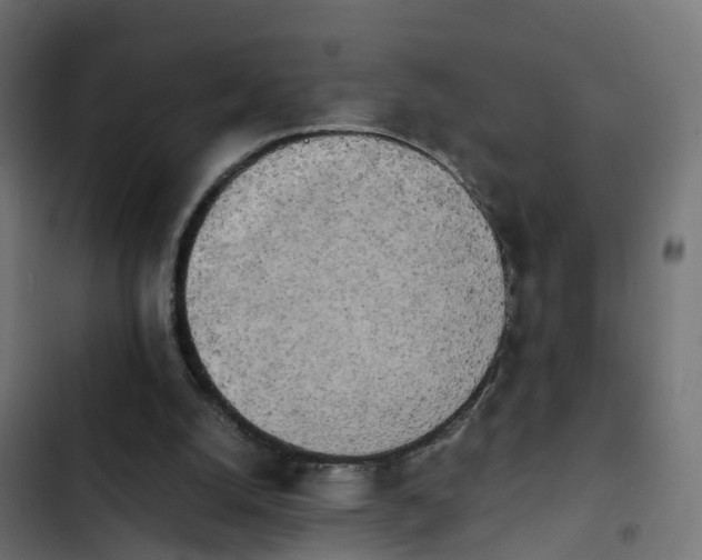X0000103960056200809261820