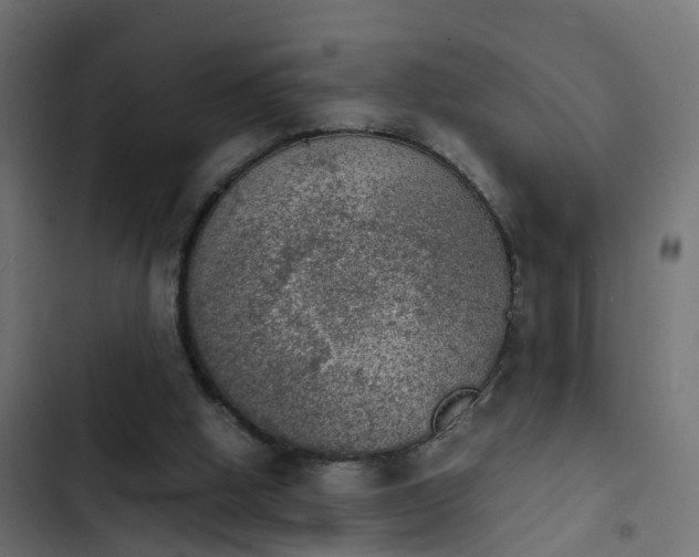 X0000103960058200809261821